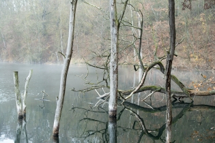 Herbst am See