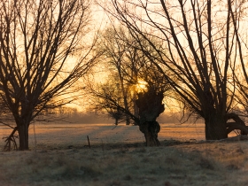 Burgenlandkreis - Sonnenaufgang in der Elsteraue