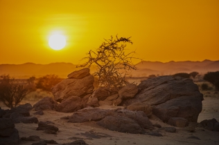 Sudan - Sonnenuntergang in der Bajuda-Steppe